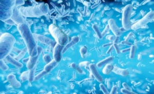 Устойчивость бактерий к антибиотикам - открытие израильских ученых